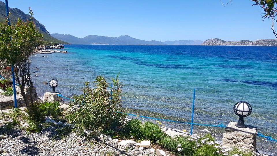 Mavi Akvaryum Pension Hotel Sogut  Exterior foto