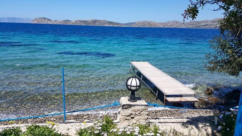 Mavi Akvaryum Pension Hotel Sogut  Exterior foto