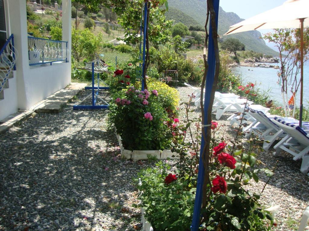 Mavi Akvaryum Pension Hotel Sogut  Exterior foto