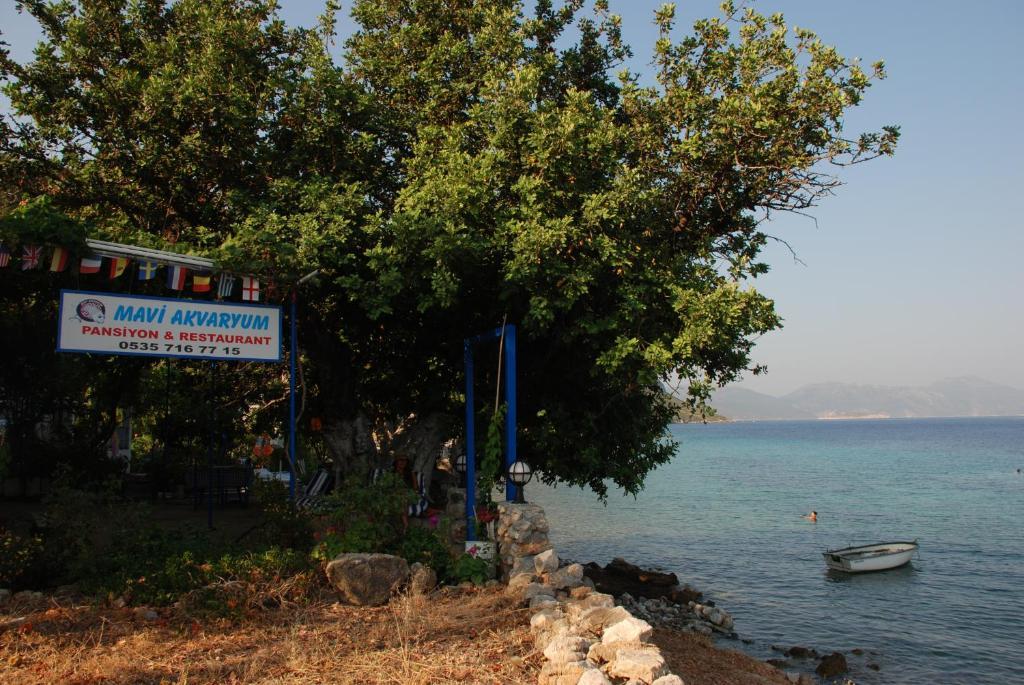 Mavi Akvaryum Pension Hotel Sogut  Exterior foto