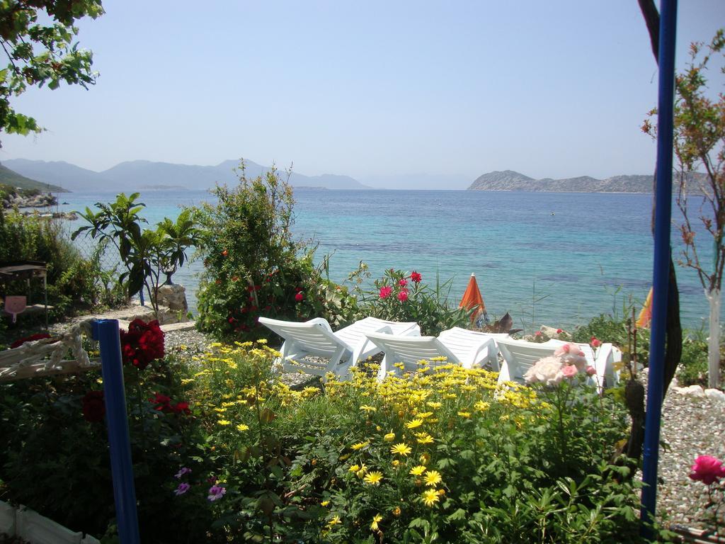 Mavi Akvaryum Pension Hotel Sogut  Exterior foto